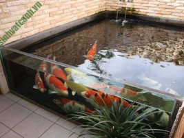 Tip 4+ kinh nghiệm thiết kế hồ cá Koi đẹp cho sân vườn ngoài trời