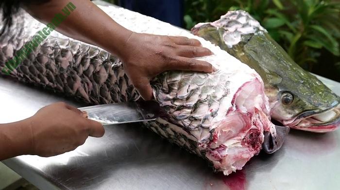 món ăn được chế biến từ cá hải tượng này càng trở thành đặc sản đắt tiền